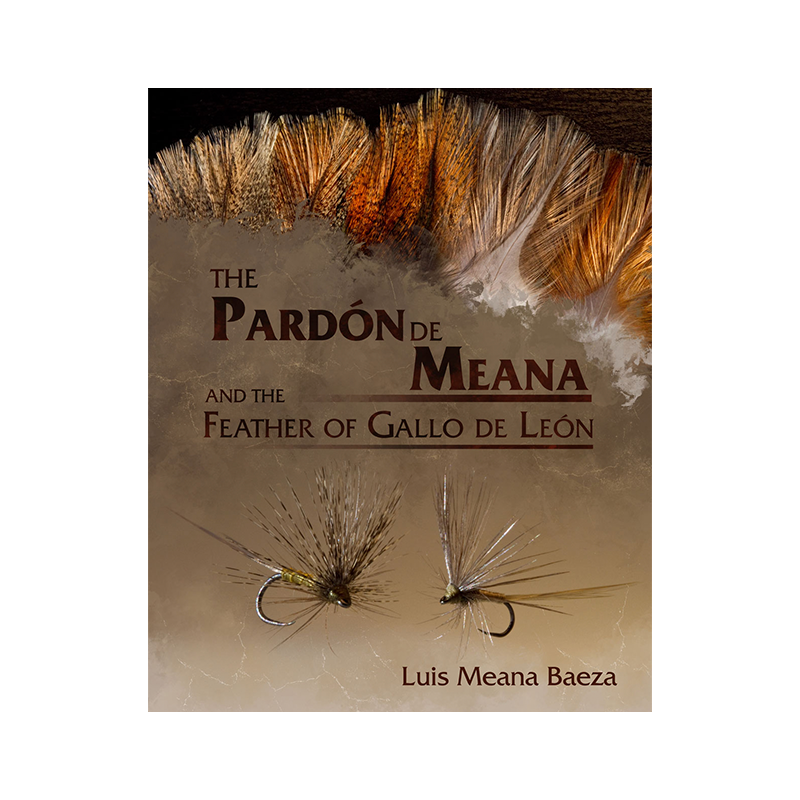The Pardón de Meana and the Feather of Gallo de León – English Version